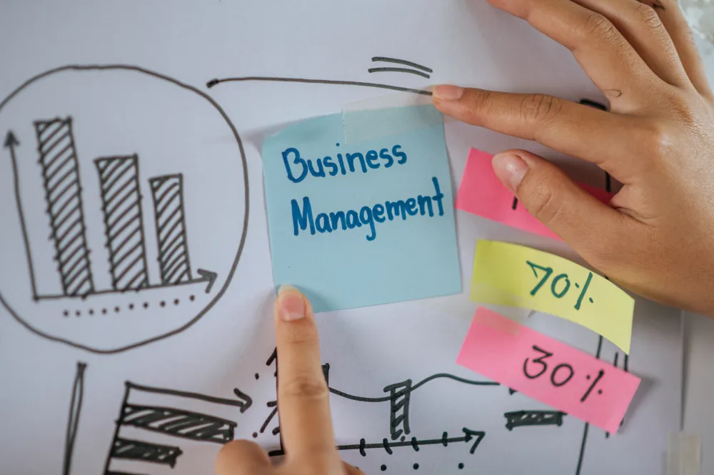 small business management consulting